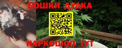 гидропоника Гусиноозёрск