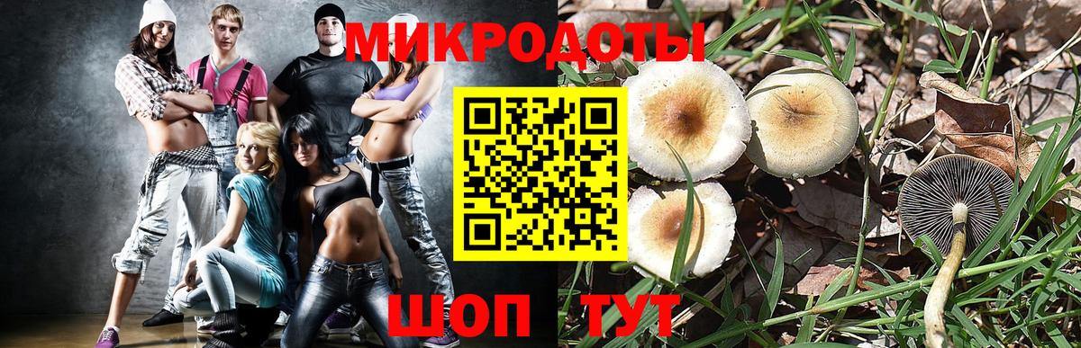 Псилоцибиновые грибы Psilocybe Благовещенск
