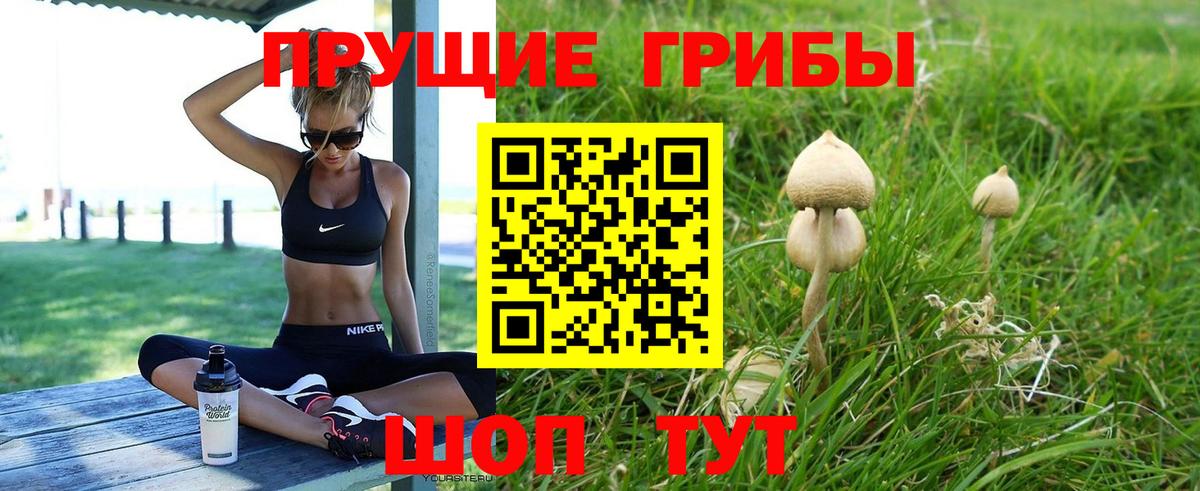 Галлюциногенные грибы Psilocybine cubensis  Вход с VPN  Благовещенск 
